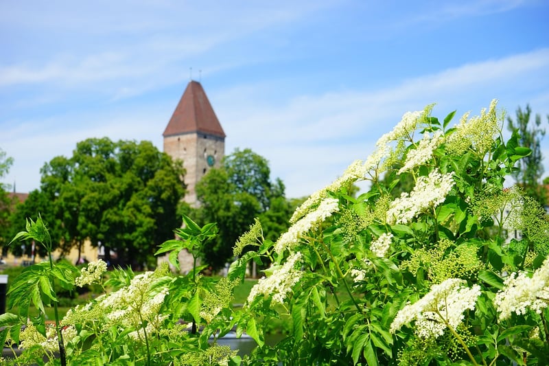 Herb towers
